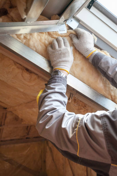 Best Insulation Installation Services in Lake San Marcos, CA